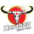 Carabao