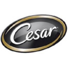 Cesar