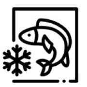 Frozen Fish