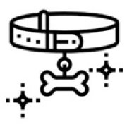 Pet Toys & Accessories