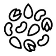 Nuts