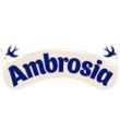 Ambrosia