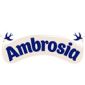 brand-logo